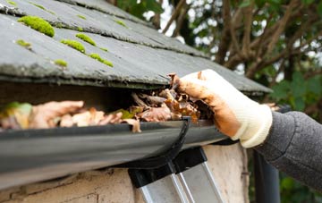gutter cleaning South Heath